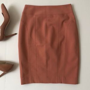Express Pencil Skirt